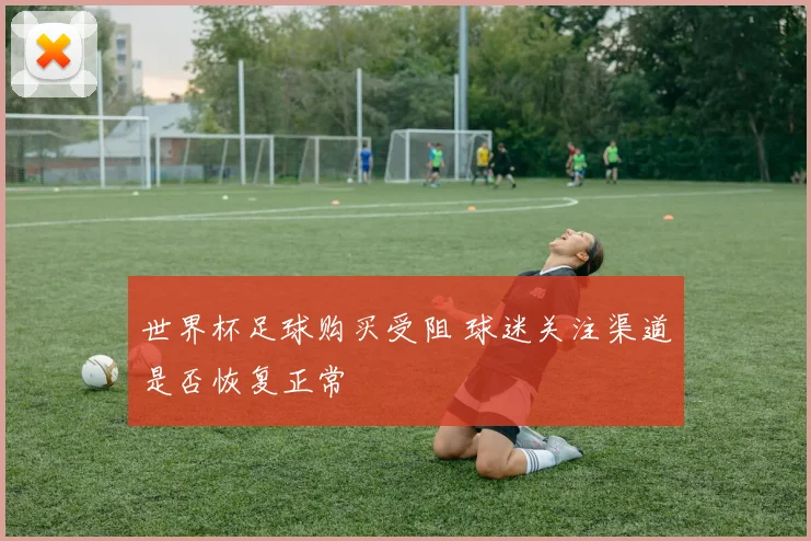 世界杯足球购买受阻 球迷关注渠道是否恢复正常