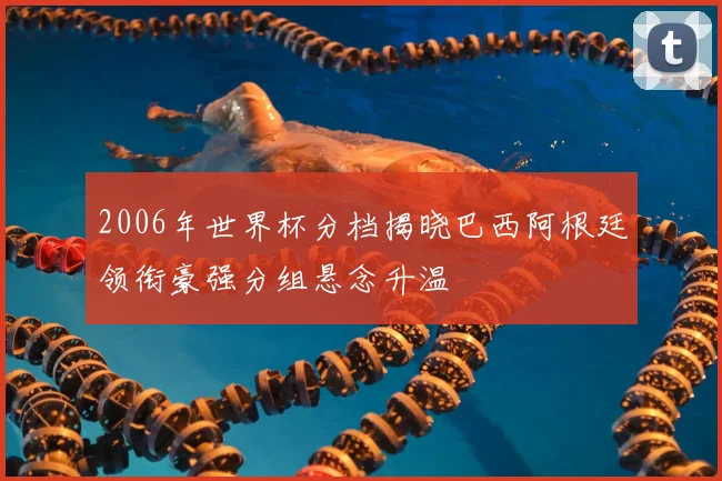 2006年世界杯分档揭晓巴西阿根廷领衔豪强分组悬念升温