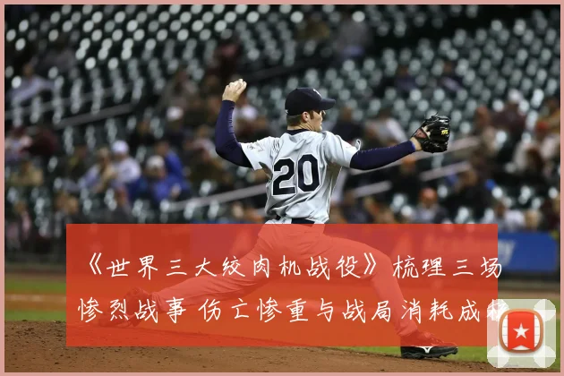 《世界三大绞肉机战役》梳理三场惨烈战事 伤亡惨重与战局消耗成核心看点