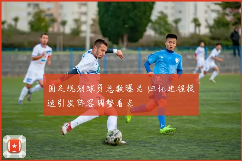 国足规划球员总数曝光 归化进程提速引发阵容调整看点